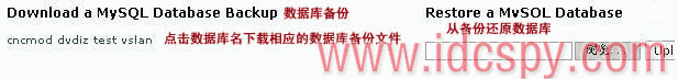 LunarPages主机备份数据库